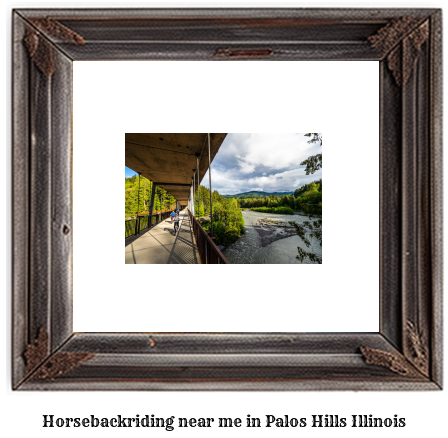 horseback riding near me in Palos Hills, Illinois